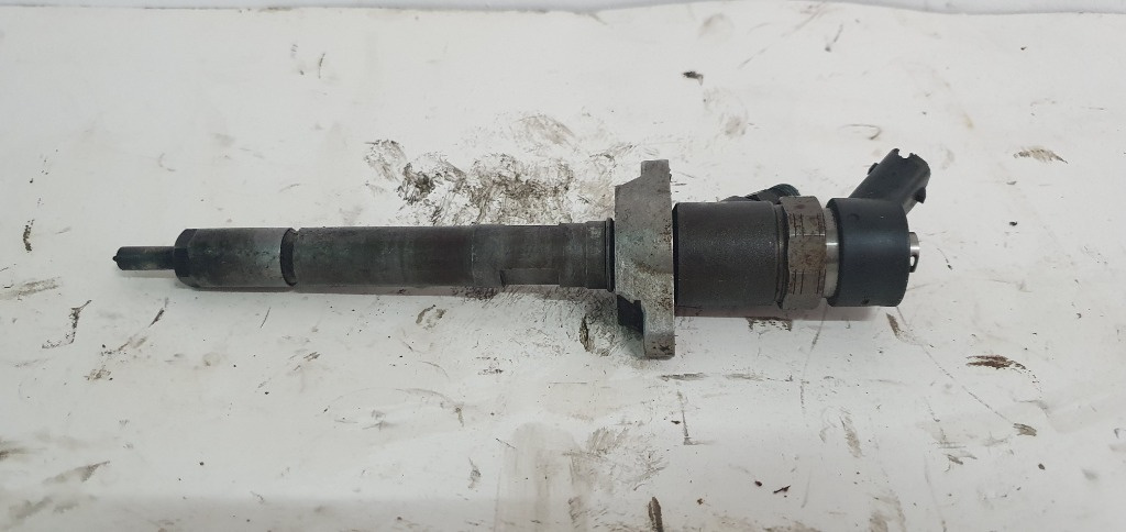 0445110259 Injector Citroen C4 1.6 HDI