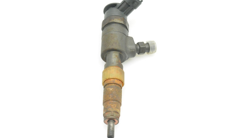 0445110339 Injector Citroen C3 (2) 1.4 HDI 8HR