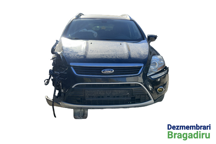 Amortizor haion dreapta Ford Kuga [2008 - 2013] Crossover 2.0 TDCi MT AWD (140 hp) Cod motor: UFDA Euro 5