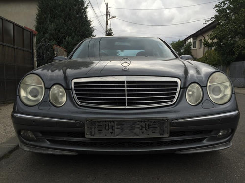 Amortizor haion dreapta Mercedes E220 CDI W211 2002-2006