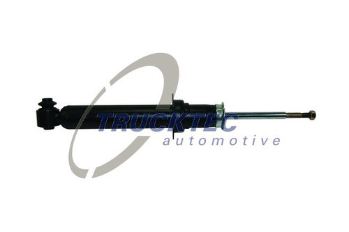 Amortizor puntea spate (0830119 TRU) BMW