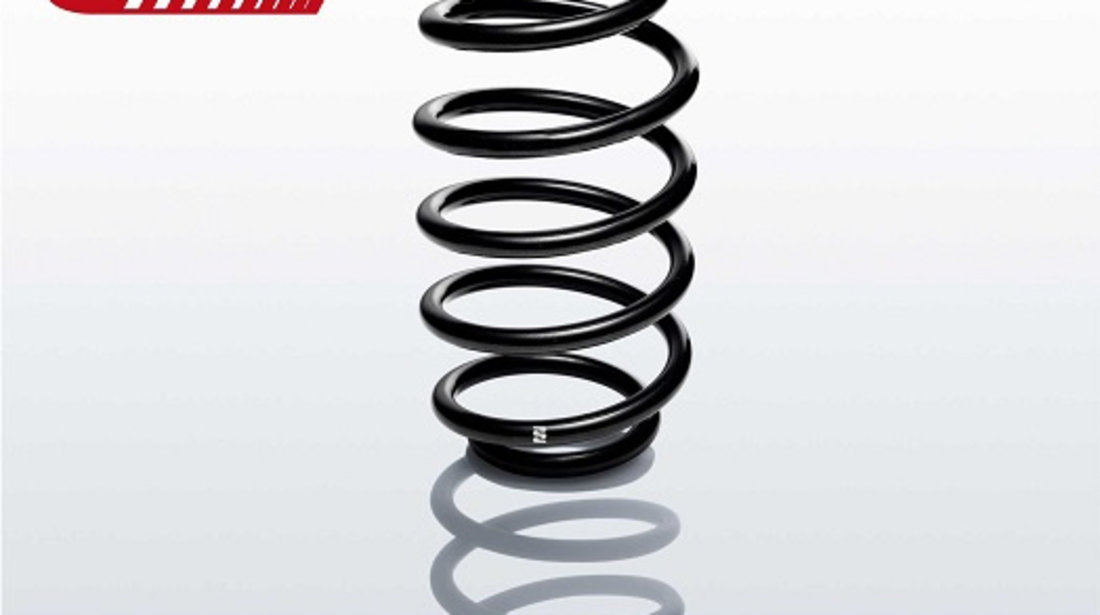 Arc spiral punte fata (R10227 EIBACH) FORD