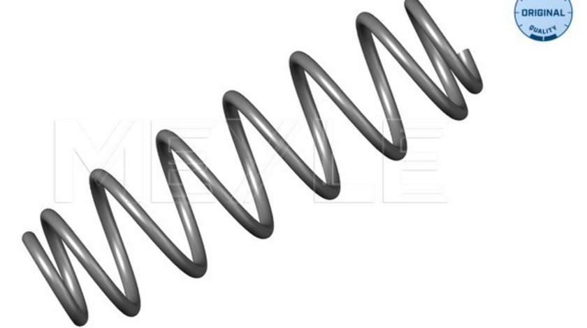 Arc spiral puntea spate (1007390013 MEYLE) SEAT,VW