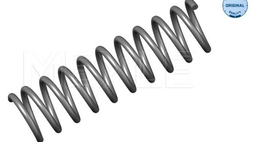 Arc spiral puntea spate (3140330003 MEYLE) BMW