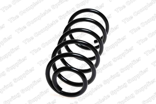 Arc spiral puntea spate (4263488 LESJOFORS) OPEL,VAUXHALL