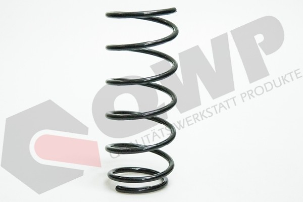 Arc spiral RENAULT CLIO II (BB0/1/2, CB0/1/2) (1998 - 2005) QWP WCS249 piesa NOUA