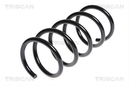 Arc Spiral Triscan Fiat 8750 15171