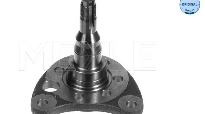 Articulatie directie, suspensie roata Axa spate dreapta (1005010011 MEYLE) SEAT,VW