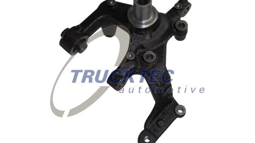 Articulatie directie, suspensie roata Axa spate dreapta (0731295 TRU) AUDI,SEAT,SKODA,VW