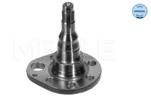 Articulatie directie, suspensie roata Axa spate dreapta (1005010036 MEYLE) SEAT,VW