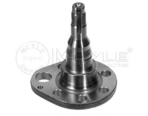 Articulatie directie, suspensie roata VW PASSAT Variant (3A5, 35I) (1988 - 1997) MEYLE 100 501 0036 piesa NOUA