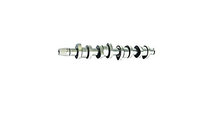 Ax cu came VW BORA Combi (1J6) (1999 - 2005) BGA C...