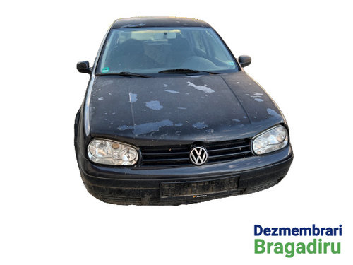 Bandou mijloc usa spate dreapta Volkswagen VW Golf 4 [1997 - 2006] Hatchback 5-usi 1.4 MT (75 hp) Co...