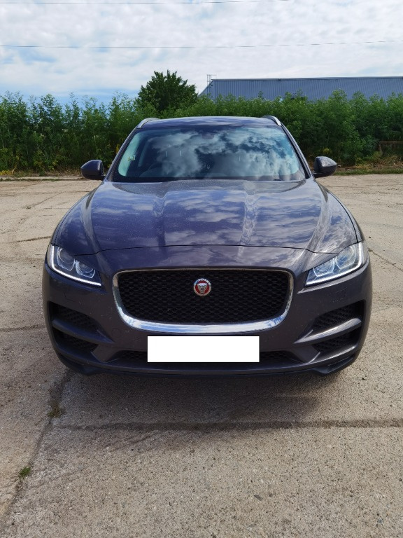 Bara fata Jaguar f pace