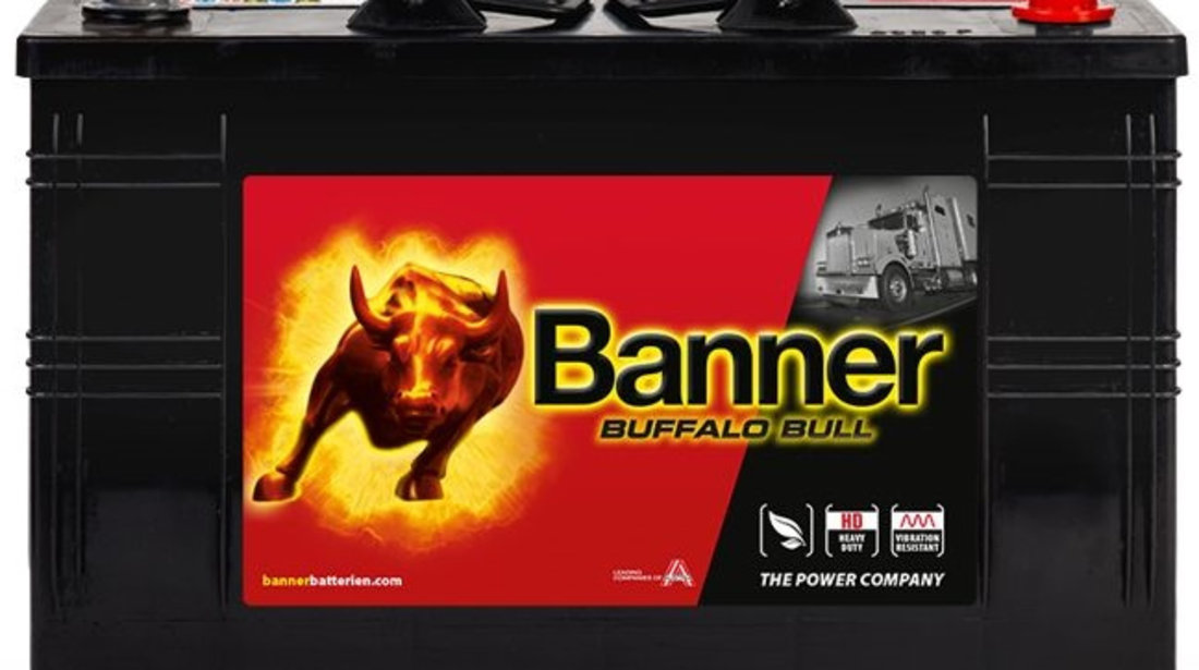 Baterie Banner Buffalo Bull 110AH 800A 12V 010610470101