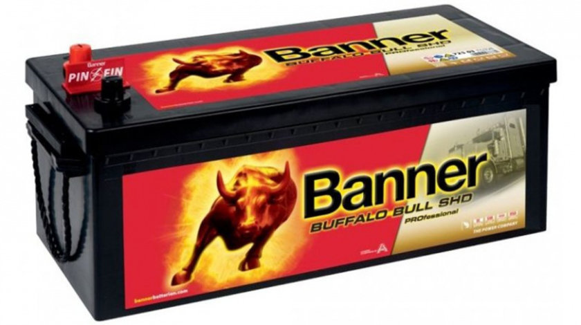 Baterie Banner Buffalo Bull Shd Professional 225Ah 1150A 12V 018725030101