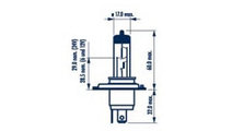 Bec, far faza lunga FIAT SCUDO platou / sasiu (272...