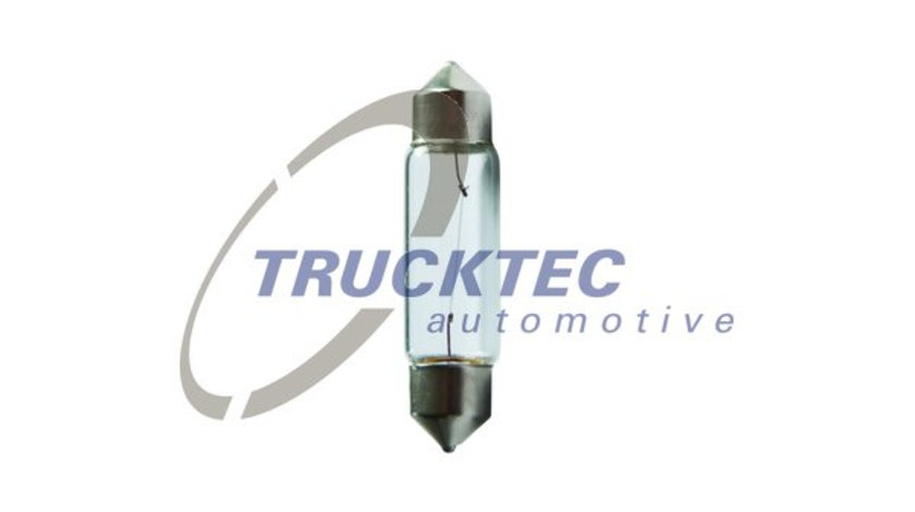 Bec, iluminare demarcare / avertizare (8858011 TRUCKTEC) MAN,MERCEDES-BENZ