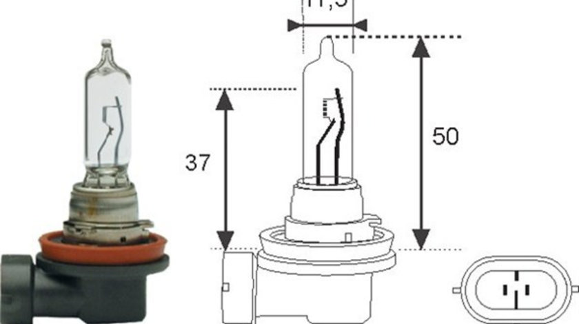 Bec incandescent (002548100000 MAGNETI MARELLI)