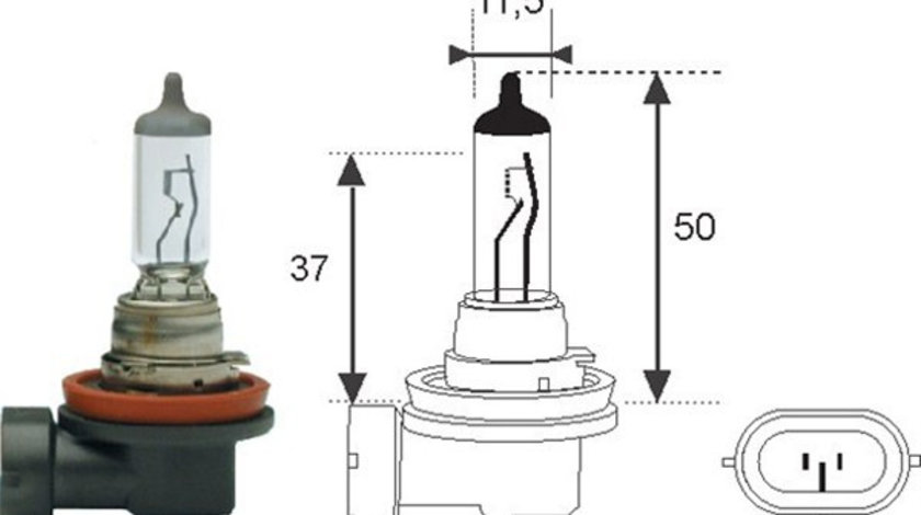 Bec incandescent (002549100000 MAGNETI MARELLI)