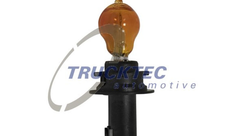 Bec, lumini semnalizare/delimitare (0258447 TRUCKTEC) MERCEDES-BENZ,VW