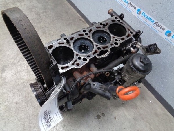 Bloc motor ambielat BLS, Seat Toledo 3, 1.9 tdi (pr:110747)