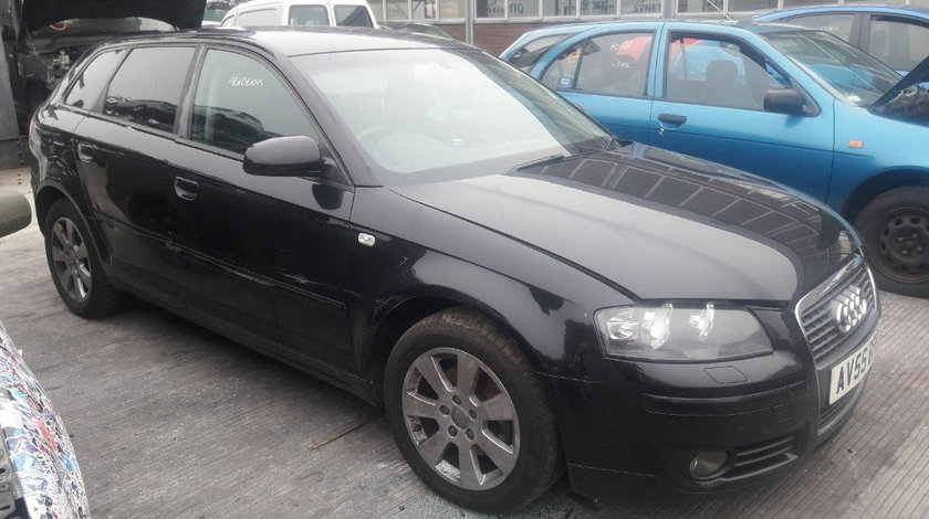 Broasca usa dreapta fata Audi A3 8P 2006 Hatchback 2.0 TDI Motorina