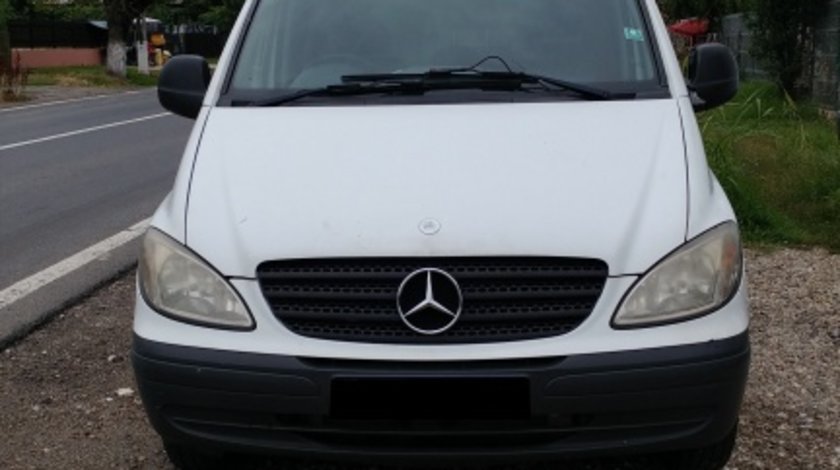 Broasca usa dreapta fata Mercedes VITO 2005 duba 2.2