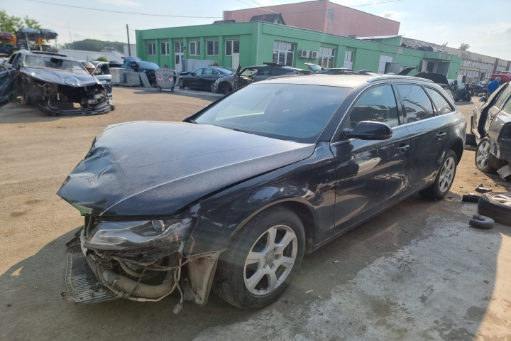 Broasca usa dreapta spate Audi A4 B8 2010 avant 2.0