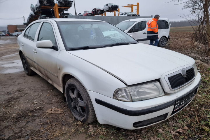 Broasca usa stanga spate Skoda Octavia 2006 sedan/berlina 1.9 tdi