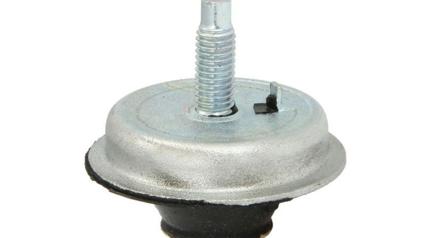 Burduf cauciuc, suport motor PEUGEOT 206 CC (2D) (2000 - 2016) REINHOCH RH11-2165 piesa NOUA