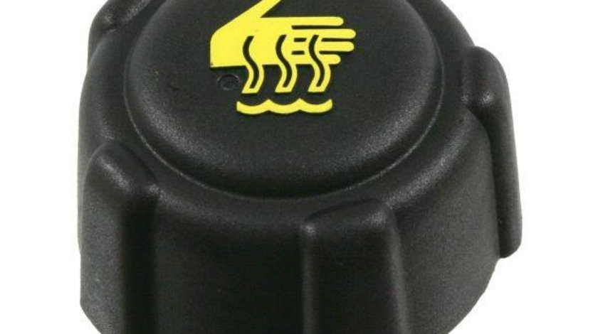 Buson radiator Renault CLIO IV 2012-> #2 01674