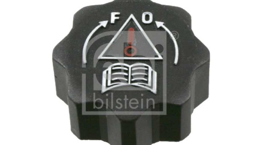 Buson,vas expansiune (22081 FEBI BILSTEIN) Citroen,FIAT,LANCIA,PEUGEOT