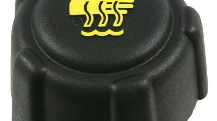 Buson Vas Expansiune Mtr Renault Clio Symbol 1 2002→ 12176123