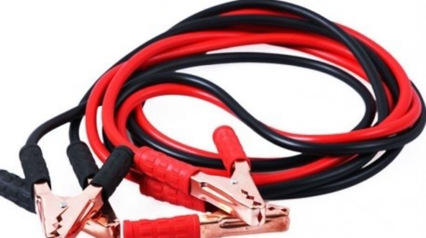 Cablu Curent 1000A 131221-1