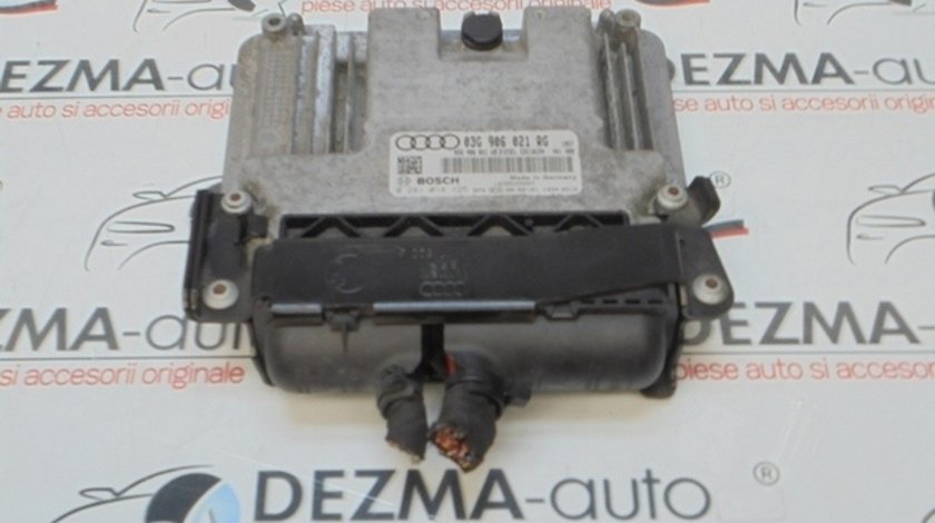 Calculator motor, 03G906021RG, 0281014125, Seat Leon (1P1) 1.9 tdi, BLS