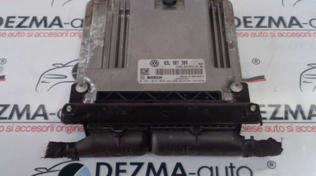 Calculator motor 03L907309, 0281015029, Vw Scirocco 2.0tdi, CBDB