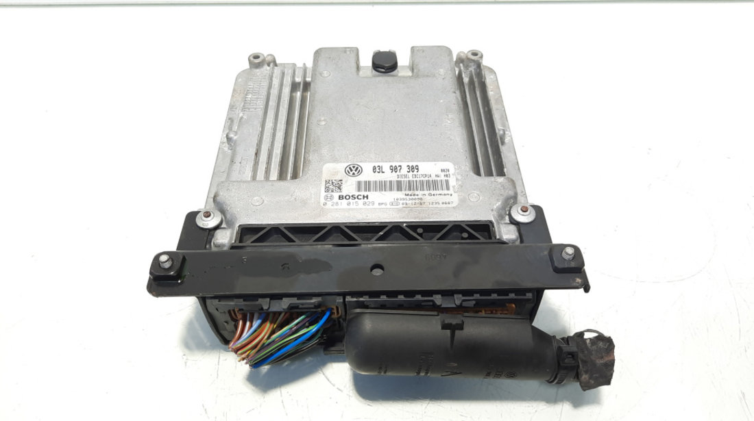 Calculator motor, cod 03L907309, 0281015029, Audi A3 (8P1) 2.0 TDI, CBB (idi:558768)