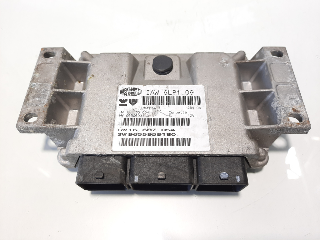 Calculator motor, cod 9655959180, Peugeot 406, 2.0 benz, RFN (idi:483567)