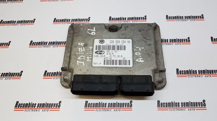 Calculator Motor SEAT IBIZA, 036906034HA, 6160115005, IAW4TVHA,