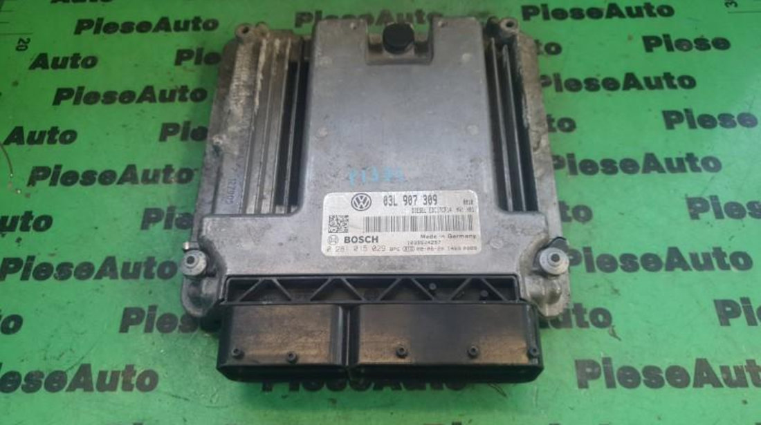 Calculator motor Volkswagen Passat B6 3C (2006-2009) 0281015029