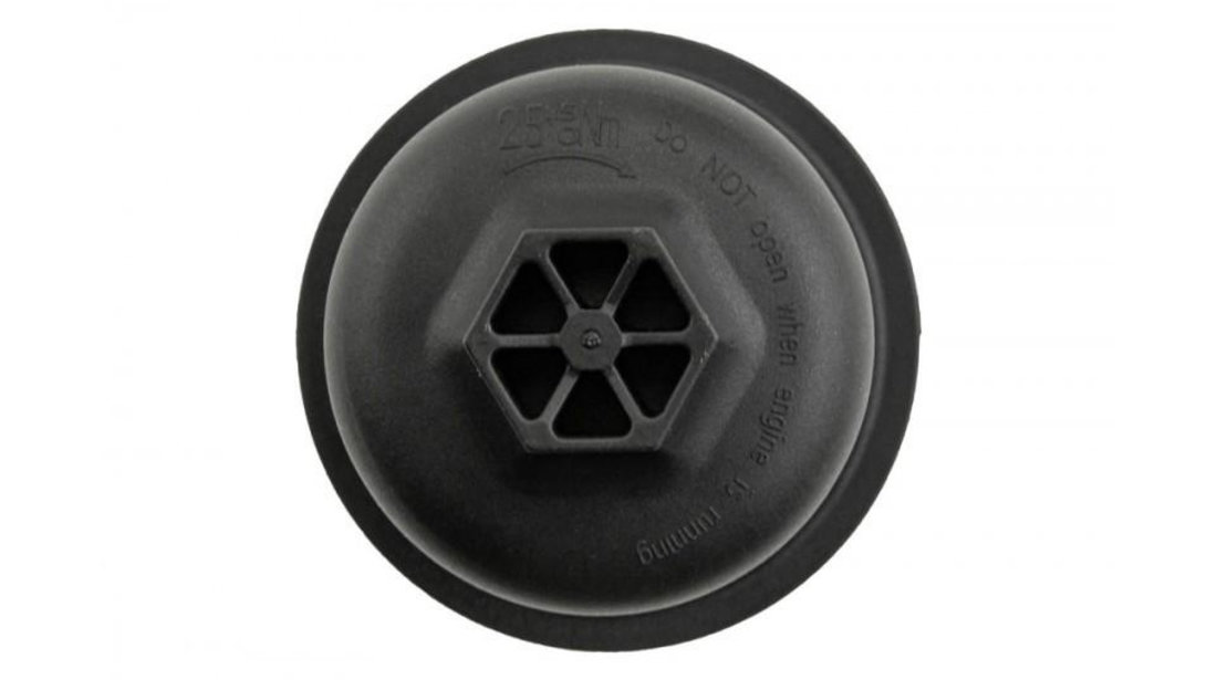 Capac carcasa filtru ulei Chrysler 300C (2011- #1 68191350AA
