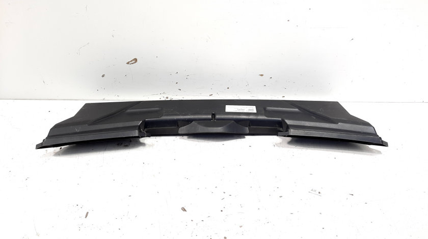 Capac panou frontal, cod 6431-6987498-01, Bmw 3 (E90) (id:532325)