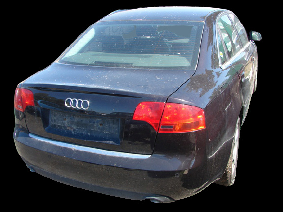 Capac sigurante stanga bord Audi A4 B7 [2004 - 2008] Sedan 4-usi 2.7 TDI MT  (180 hp) #68443416