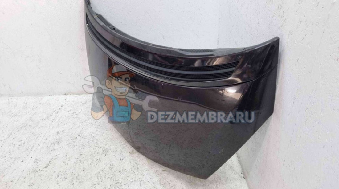 Capota Renault Espace 4 [Fabr 2002-2014] NV676