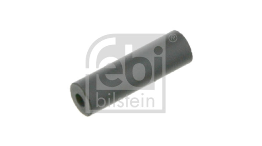 Clapeta de inchidere,supracurgere combustibil (07669 FEBI BILSTEIN) AUDI,CHRYSLER,MAN,MERCEDES-BENZ,NEOPLAN,SEAT,SKODA,VAN HOOL,VW