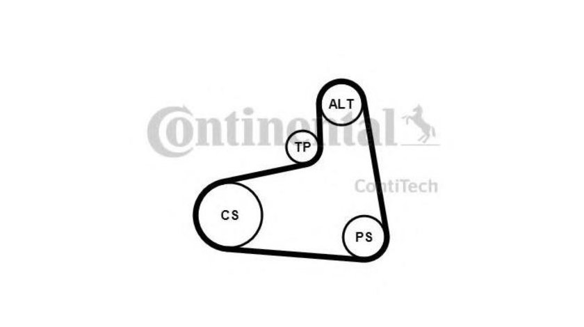 Curea alternator Skoda OCTAVIA (1U2) 1996-2010 #2 6PK906K1