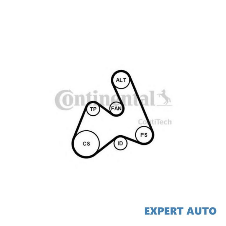 Curea alternator Volkswagen VW PASSAT (3B2) 1996-2001 #2 5PK1592K1 #84760120