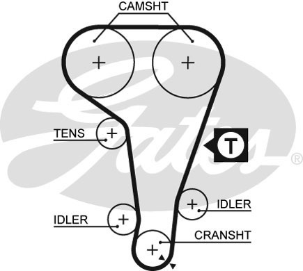 Curea de distributie (5360XS GAT) FORD,FORD USA