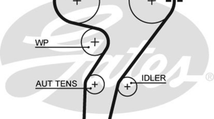 Curea de distributie (5429XS GAT) ALFA ROMEO,FIAT,LANCIA